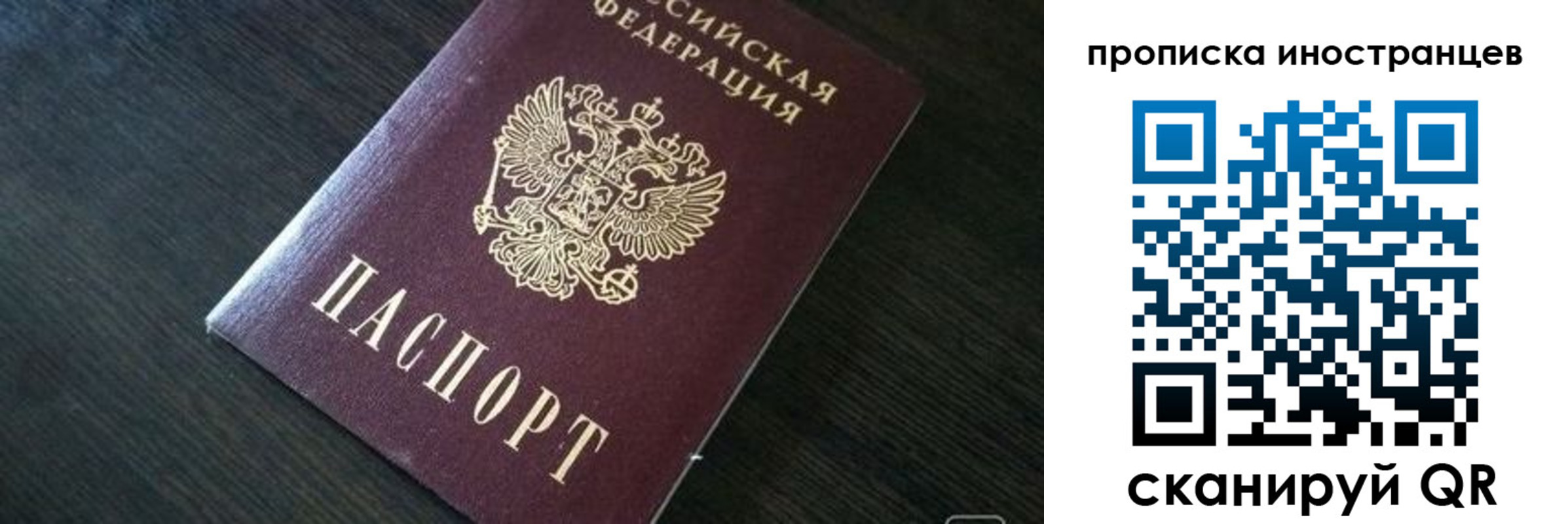 прописка 2025 в Долгопрудном